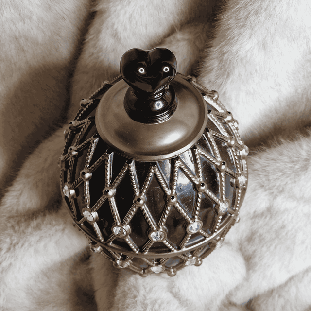 BOITE A BIJOUX 21