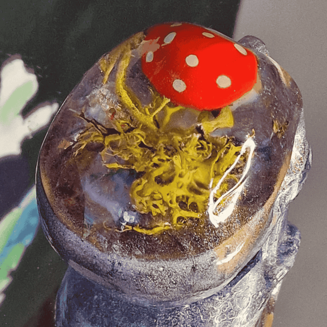 TETE DE MORT CHAMPIGNON MAGIQUE