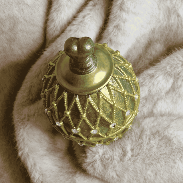 BOITE A BIJOUX 28
