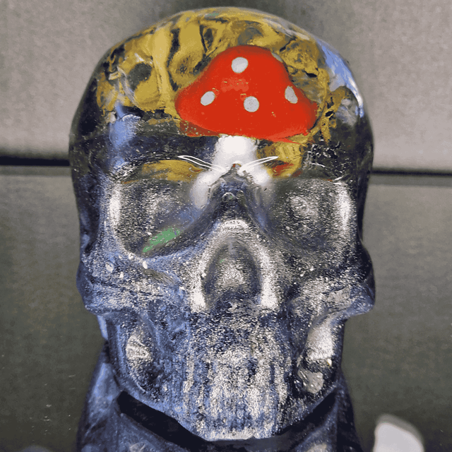 TETE DE MORT CHAMPIGNON MAGIQUE