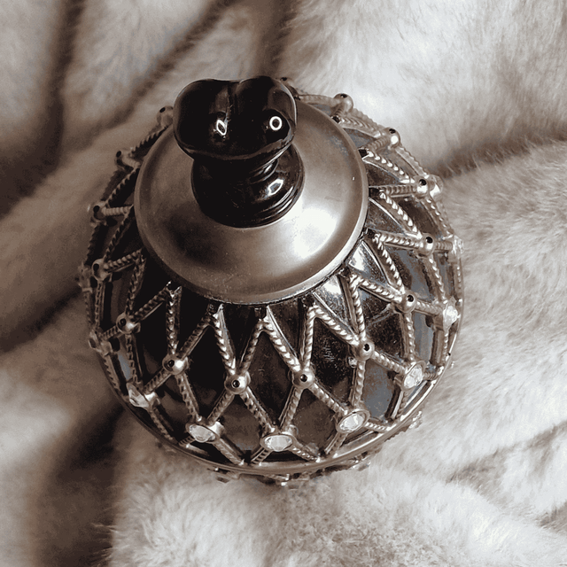 BOITE A BIJOUX 31