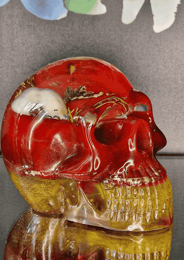 TETE DE MORT CARDINAL